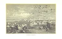 An illustration from Eine Orientreise vom Jahre 1881 ... illustrirt ... von F. von Pausinger (1885)