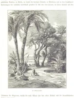 An illustration from Eine Orientreise vom Jahre 1881 ... illustrirt ... von F. von Pausinger (1885)