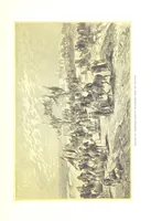 An illustration from Eine Orientreise vom Jahre 1881 ... illustrirt ... von F. von Pausinger (1885)