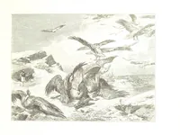 An illustration from Eine Orientreise vom Jahre 1881 ... illustrirt ... von F. von Pausinger (1885)