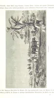 An illustration from Eine Orientreise vom Jahre 1881 ... illustrirt ... von F. von Pausinger (1885)