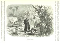 An illustration from Eine Orientreise vom Jahre 1881 ... illustrirt ... von F. von Pausinger (1885)