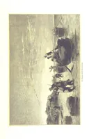 An illustration from Eine Orientreise vom Jahre 1881 ... illustrirt ... von F. von Pausinger (1885)