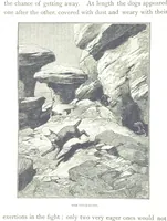 Picture 29 of 97 from Travels in the East; including a visit to Egypt and the Holy Land. [Translated from the German.] ... With ... illustrations by Pausinger, etc (1884), leaf 146