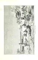 An illustration from Travels in the East; including a visit to Egypt and the Holy Land. [Translated from the German.] ... With ... illustrations by Pausinger, etc (1884)