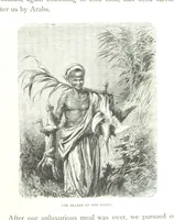 An illustration from Travels in the East; including a visit to Egypt and the Holy Land. [Translated from the German.] ... With ... illustrations by Pausinger, etc (1884)