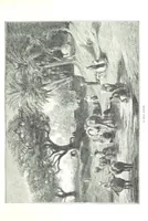An illustration from Travels in the East; including a visit to Egypt and the Holy Land. [Translated from the German.] ... With ... illustrations by Pausinger, etc (1884)
