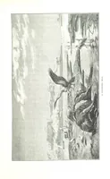 An illustration from Travels in the East; including a visit to Egypt and the Holy Land. [Translated from the German.] ... With ... illustrations by Pausinger, etc (1884)