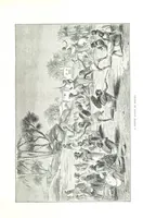 An illustration from Travels in the East; including a visit to Egypt and the Holy Land. [Translated from the German.] ... With ... illustrations by Pausinger, etc (1884)