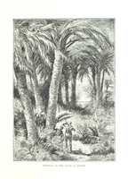 An illustration from Travels in the East; including a visit to Egypt and the Holy Land. [Translated from the German.] ... With ... illustrations by Pausinger, etc (1884)