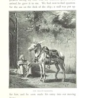 Picture 61 of 97 from Travels in the East; including a visit to Egypt and the Holy Land. [Translated from the German.] ... With ... illustrations by Pausinger, etc (1884), leaf 305