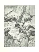 An illustration from Travels in the East; including a visit to Egypt and the Holy Land. [Translated from the German.] ... With ... illustrations by Pausinger, etc (1884)