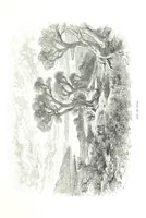 An illustration from Travels in the East; including a visit to Egypt and the Holy Land. [Translated from the German.] ... With ... illustrations by Pausinger, etc (1884)