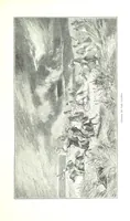 An illustration from Travels in the East; including a visit to Egypt and the Holy Land. [Translated from the German.] ... With ... illustrations by Pausinger, etc (1884)