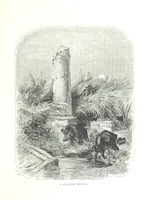Picture 93 of 97 from Travels in the East; including a visit to Egypt and the Holy Land. [Translated from the German.] ... With ... illustrations by Pausinger, etc (1884), leaf 551