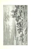 An illustration from Travels in the East; including a visit to Egypt and the Holy Land. [Translated from the German.] ... With ... illustrations by Pausinger, etc (1884)