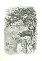 An illustration from Travels in the East; including a visit to Egypt and the Holy Land. [Translated from the German.] ... With ... illustrations by Pausinger, etc (1884)