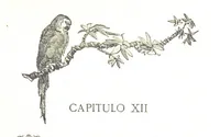 Picture 26 of 35 from La Florida; su conquista y colonización por P. Menéndez de Avilés. [Illustrated (1893), leaf 401