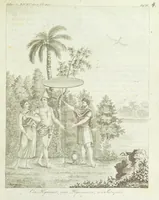 Picture 5 of 16 from Gallerie der Welt, in einer bildlichen und beschreibenden Darstellung von merkwürdigen Ländern: von Völkern ... von Thieren ... von alten und neuen Denkmälern ... Neue verbesserte Auflage. Mit ... Kupfertafeln (1805), leaf 105