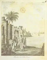 Picture 7 of 16 from Gallerie der Welt, in einer bildlichen und beschreibenden Darstellung von merkwürdigen Ländern: von Völkern ... von Thieren ... von alten und neuen Denkmälern ... Neue verbesserte Auflage. Mit ... Kupfertafeln (1805), leaf 163