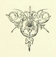 An illustration from Who Fired the First Shot? or, Ned Rusheen. An Irish story (1883)