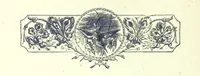 An illustration from Who Fired the First Shot? or, Ned Rusheen. An Irish story (1883)