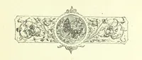 An illustration from Who Fired the First Shot? or, Ned Rusheen. An Irish story (1883)