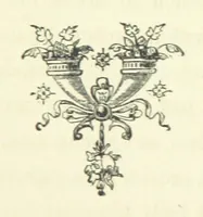 An illustration from Who Fired the First Shot? or, Ned Rusheen. An Irish story (1883)