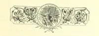 An illustration from Who Fired the First Shot? or, Ned Rusheen. An Irish story (1883)