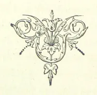 An illustration from Who Fired the First Shot? or, Ned Rusheen. An Irish story (1883)