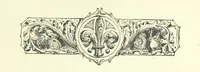 An illustration from Who Fired the First Shot? or, Ned Rusheen. An Irish story (1883)