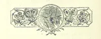 An illustration from Who Fired the First Shot? or, Ned Rusheen. An Irish story (1883)