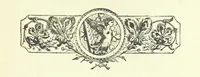 An illustration from Who Fired the First Shot? or, Ned Rusheen. An Irish story (1883)