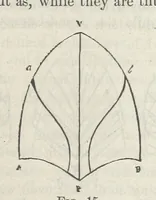 An illustration from Works. Popular edition.] 2 series (1886)