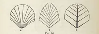 An illustration from Works. Popular edition.] 2 series (1886)