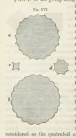 Picture 14 of 60 from Works. Popular edition.] 2 series (1886), leaf 114
