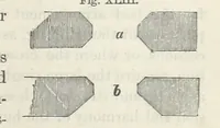 An illustration from Works. Popular edition.] 2 series (1886)