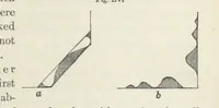 An illustration from Works. Popular edition.] 2 series (1886)
