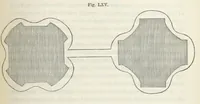 Picture 48 of 60 from Works. Popular edition.] 2 series (1886), leaf 343