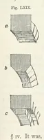 An illustration from Works. Popular edition.] 2 series (1886)