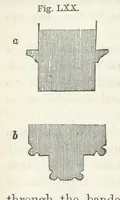 Picture 53 of 60 from Works. Popular edition.] 2 series (1886), leaf 356