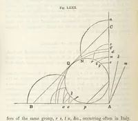 An illustration from Works. Popular edition.] 2 series (1886)
