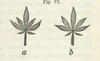 An illustration from Works. Popular edition.] 2 series (1886)