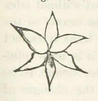 An illustration from Works. Popular edition.] 2 series (1886)