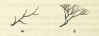 An illustration from Works. Popular edition.] 2 series (1886)