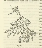 An illustration from Works. Popular edition.] 2 series (1886)
