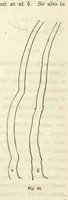An illustration from Works. Popular edition.] 2 series (1886)