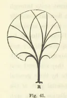 An illustration from Works. Popular edition.] 2 series (1886)