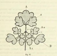 An illustration from Works. Popular edition.] 2 series (1886)