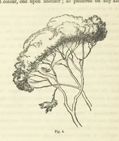 An illustration from Works. Popular edition.] 2 series (1886)